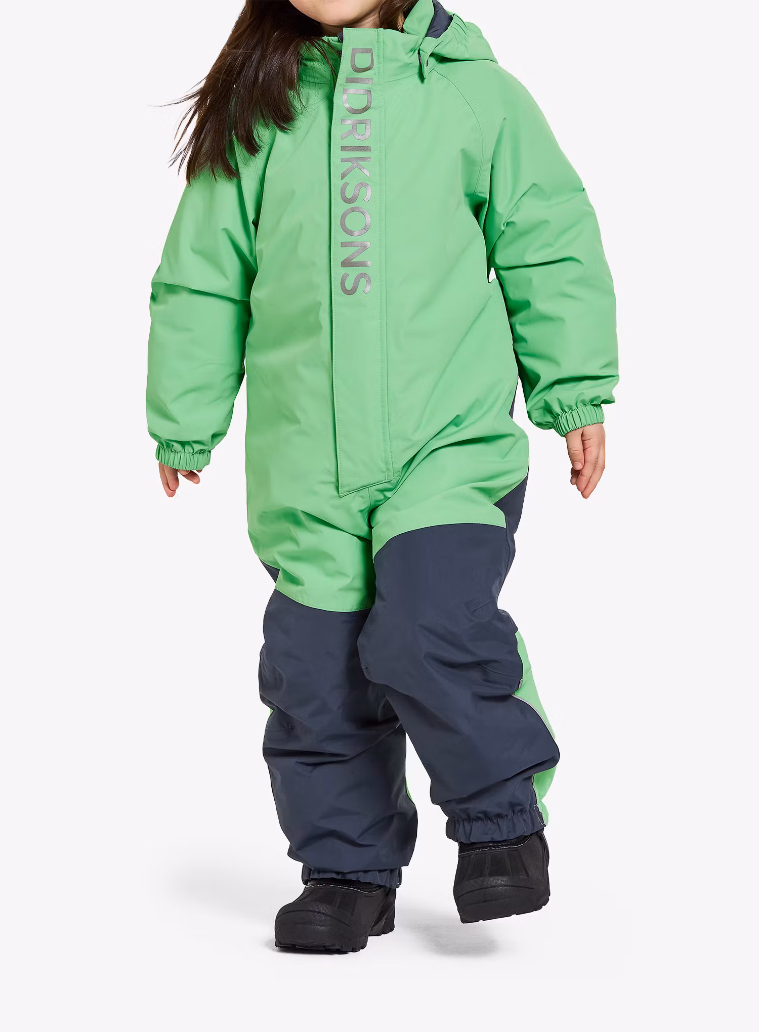 DidriksonsTalviCover_dustylime7333371298367fa.jpg