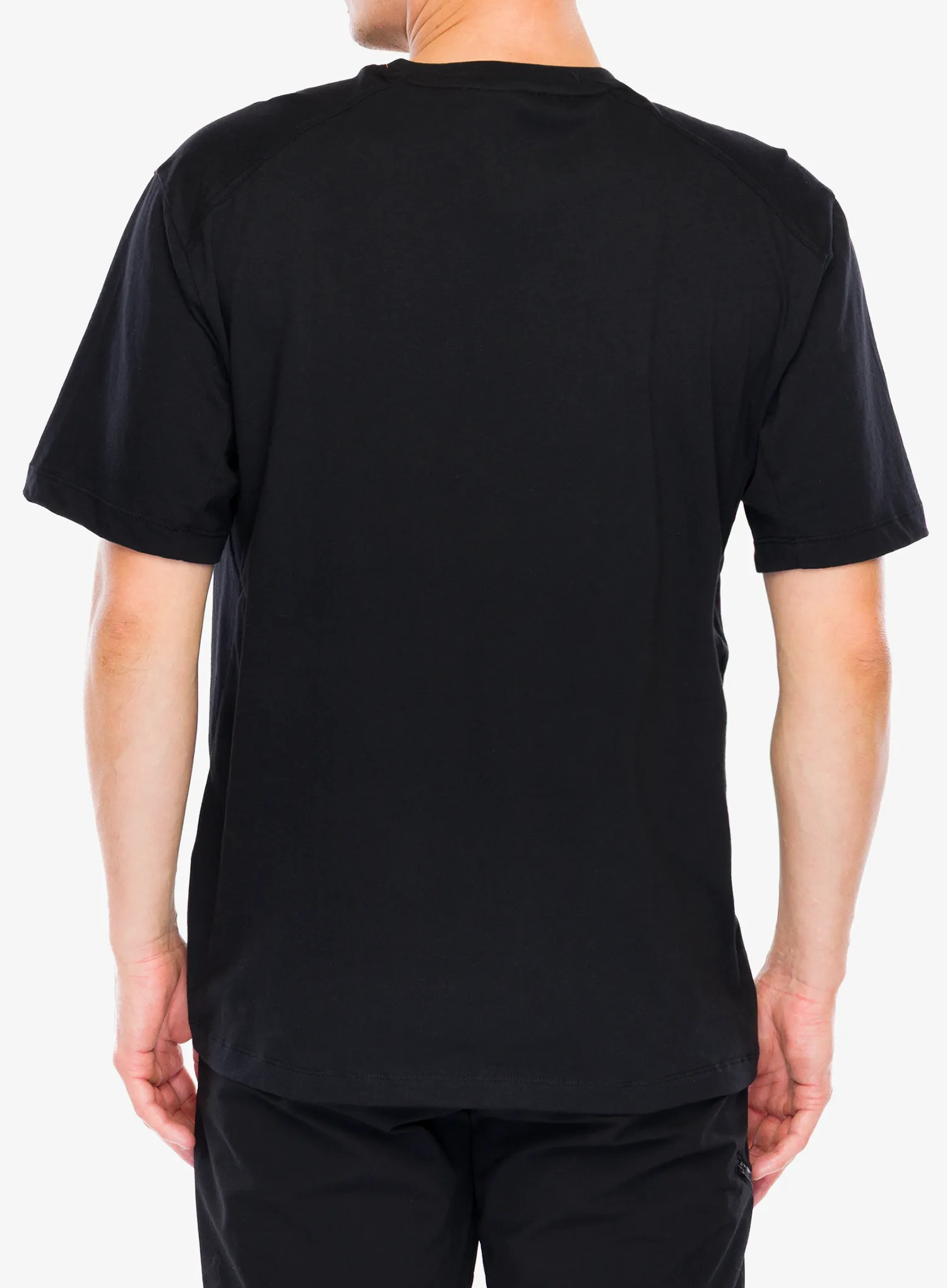 Pamučna majica adidas TERREX Terrex Classic Logo Tee - black