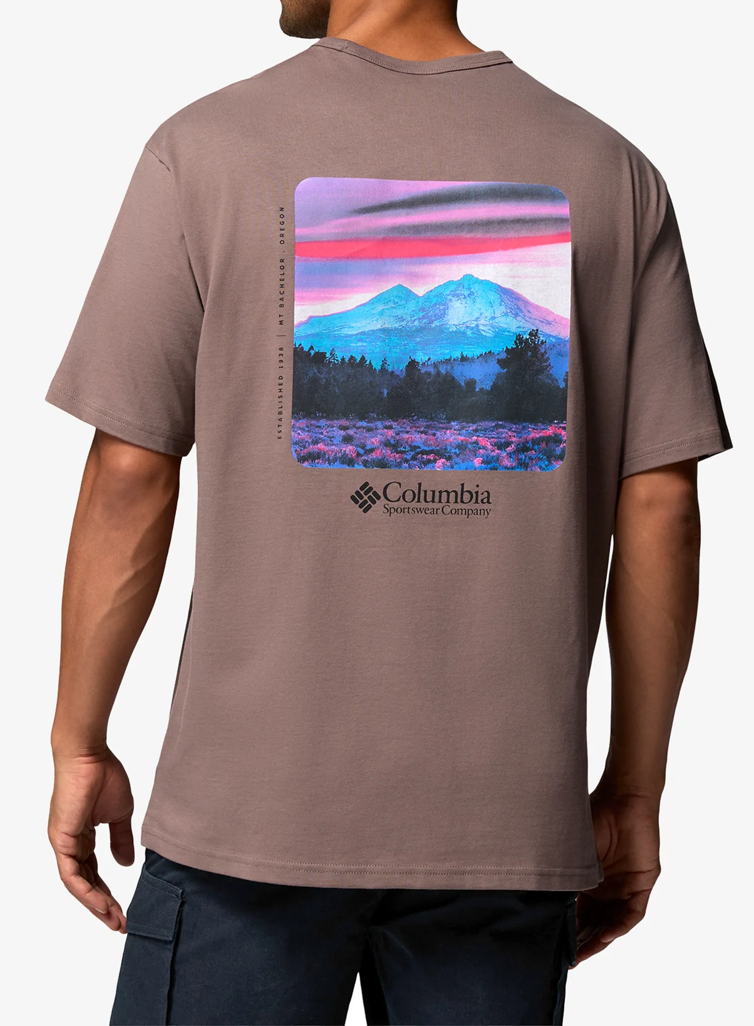 Pamučna majica Columbia CSC Heavyweight Back Graphic Tee - iron/photoreal cmyk