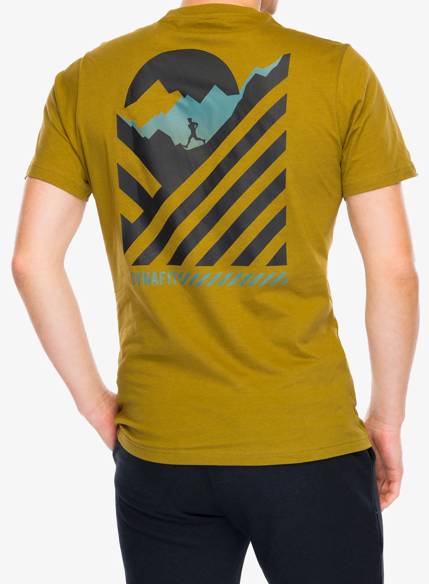 Pamučna majica Dynafit 24/7 Graphic T-Shirt - relic/striped elevation