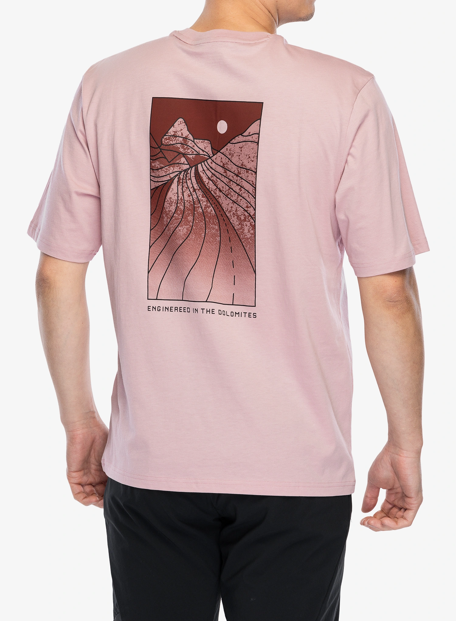 Pamučna majica Salewa Eagle Sunset Loose T-Shirt - zephyr