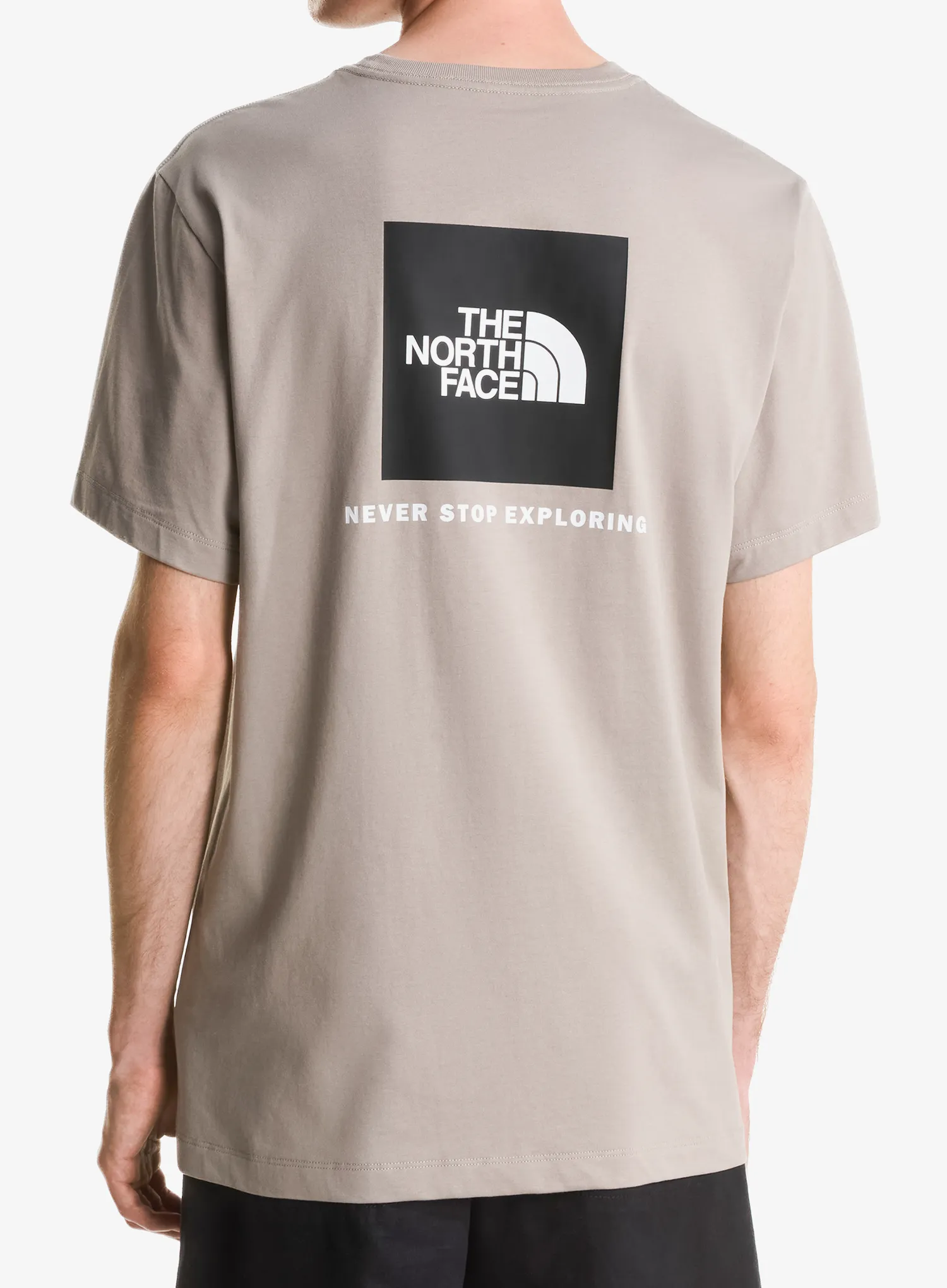 Pamučna majica The North Face Evolution Box Nse Regular Short Sleeve - stone slab