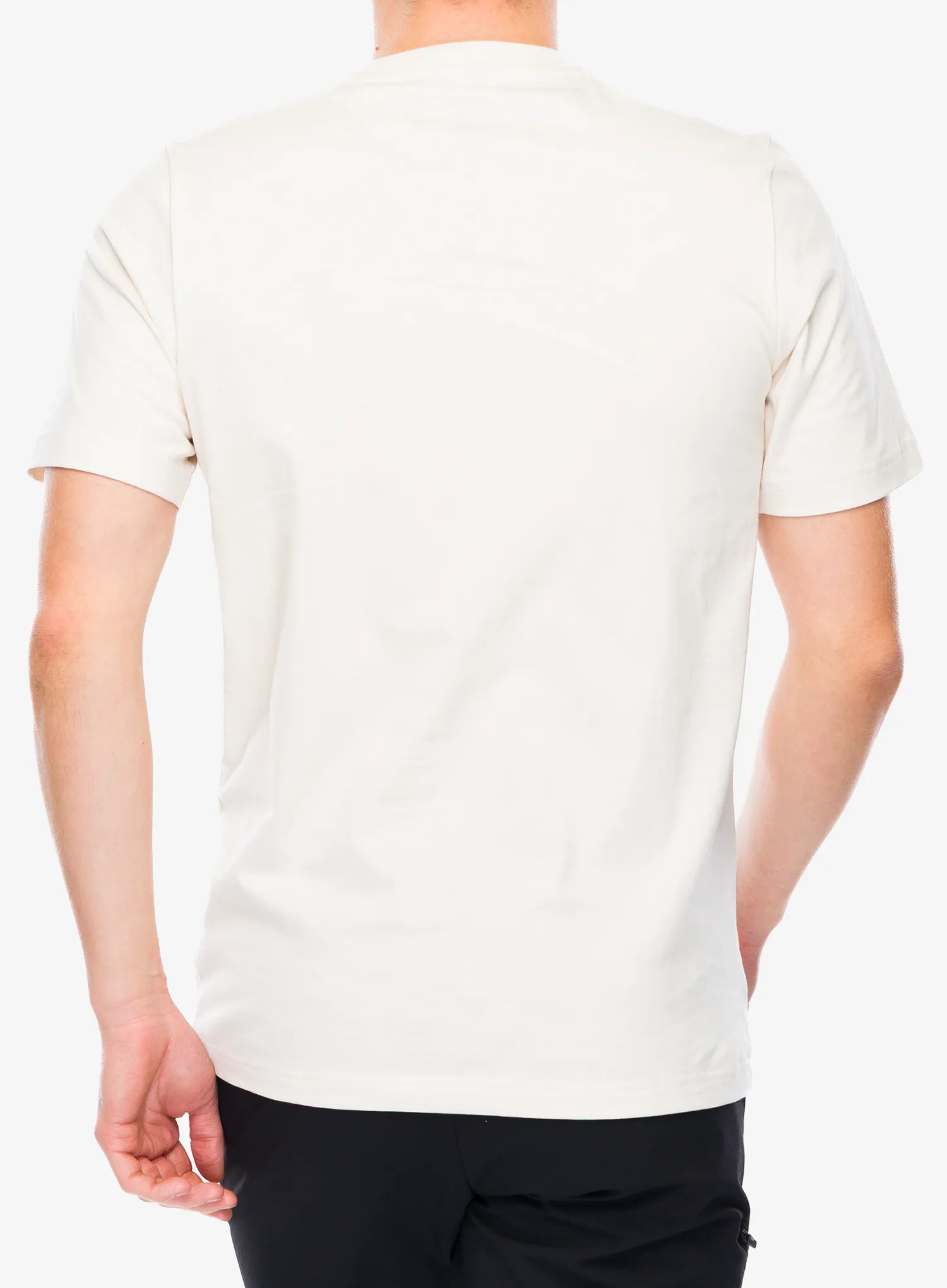 Majica s tiskom adidas TERREX Wild Tee - wonder white