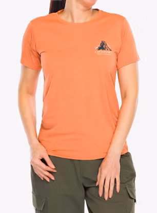 PatagoniaCapCoolDailyGraphicShirtLands_chouinardcrestrockmelo196924852006a.webp