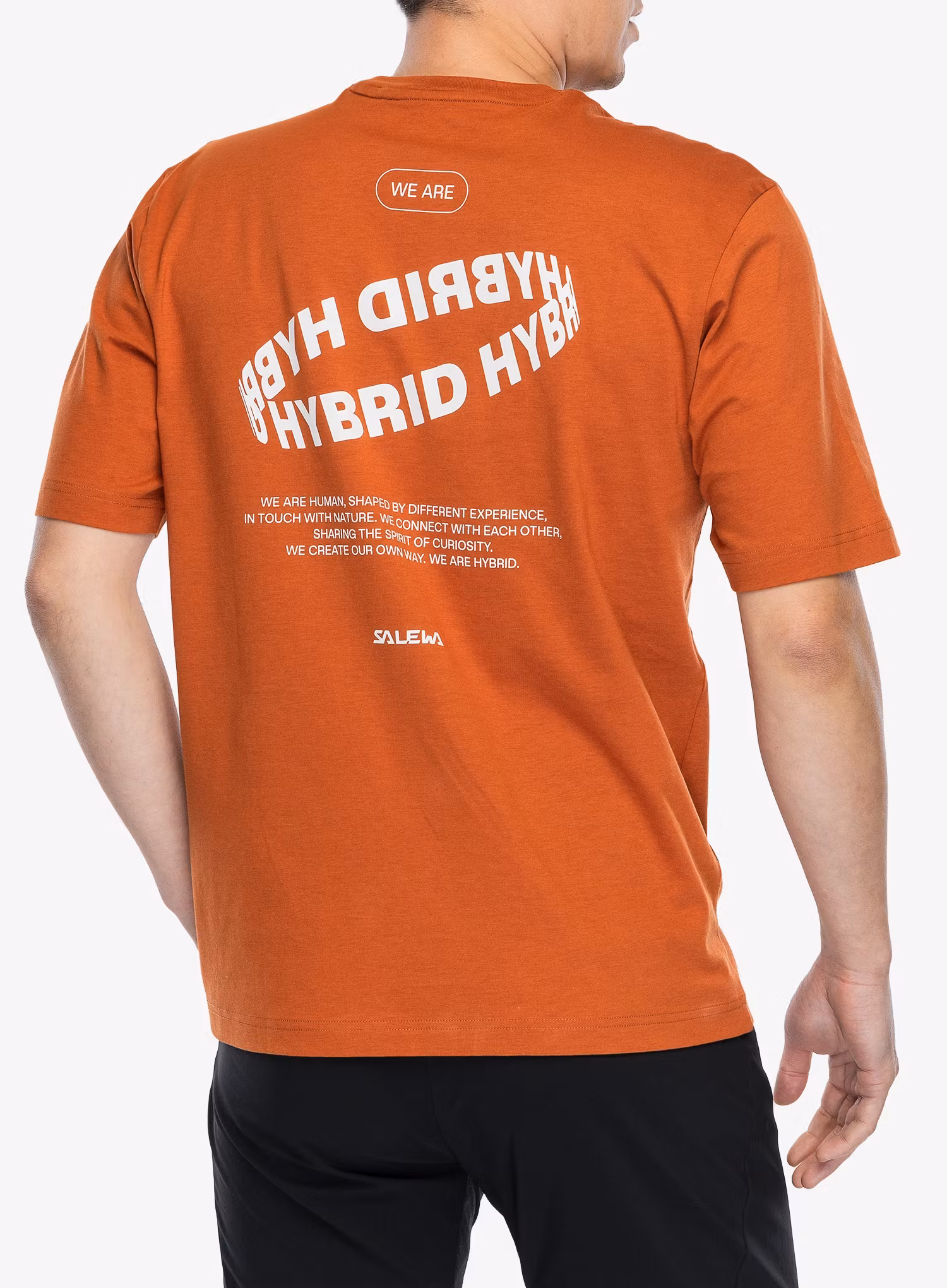 Majica s tiskom Salewa Eagle Hybrid Loose T-Shirt - bombay brown