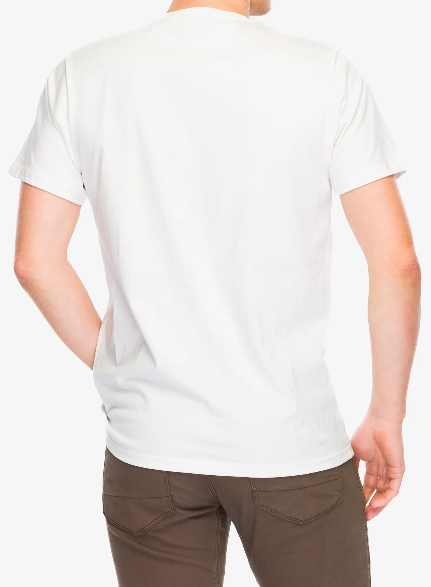 Majica s tiskom Stance Botanica Tee - canvas