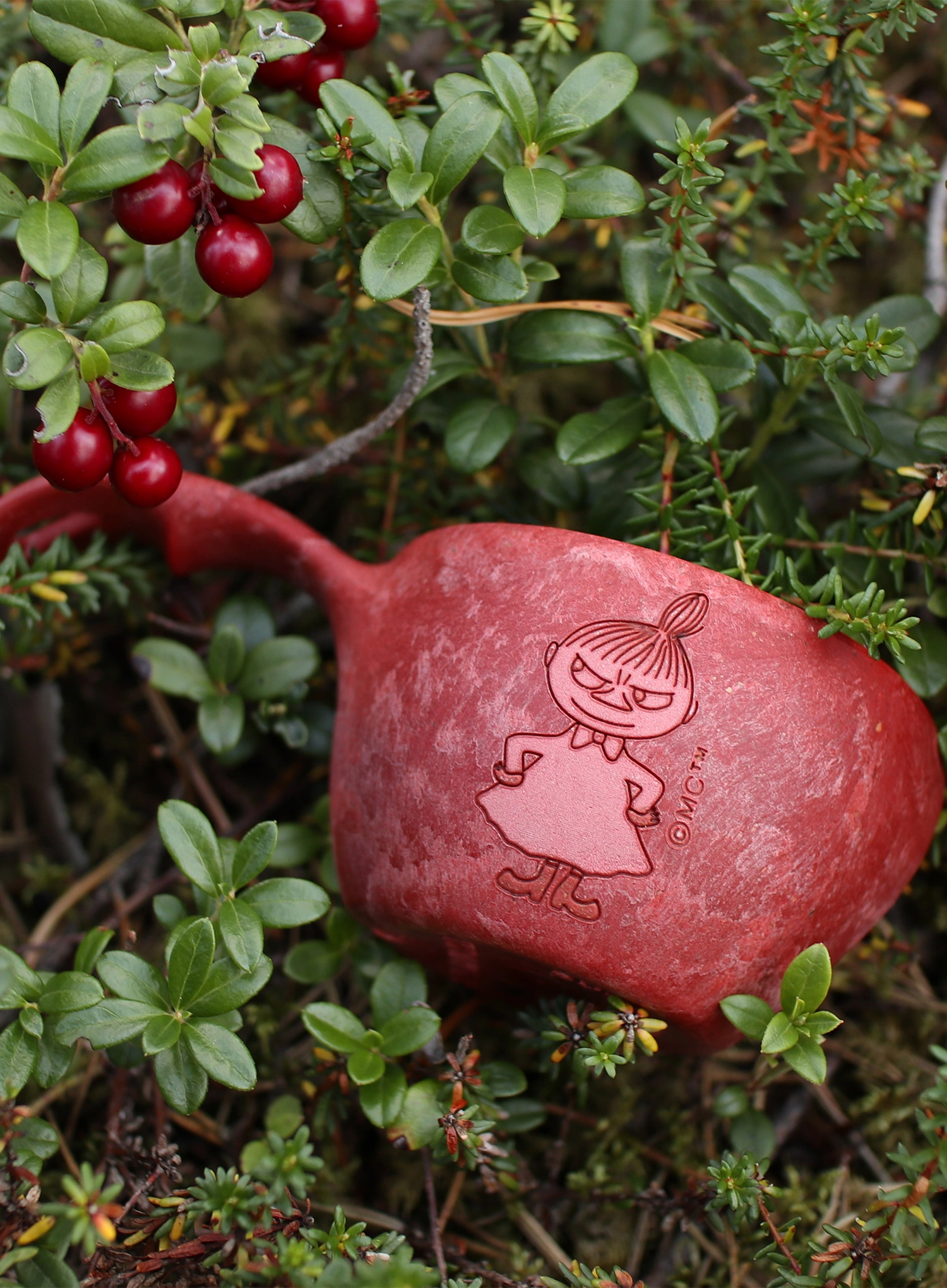 Putna šalica Kupilka 12 Moomin Little My (0,12 l) - red