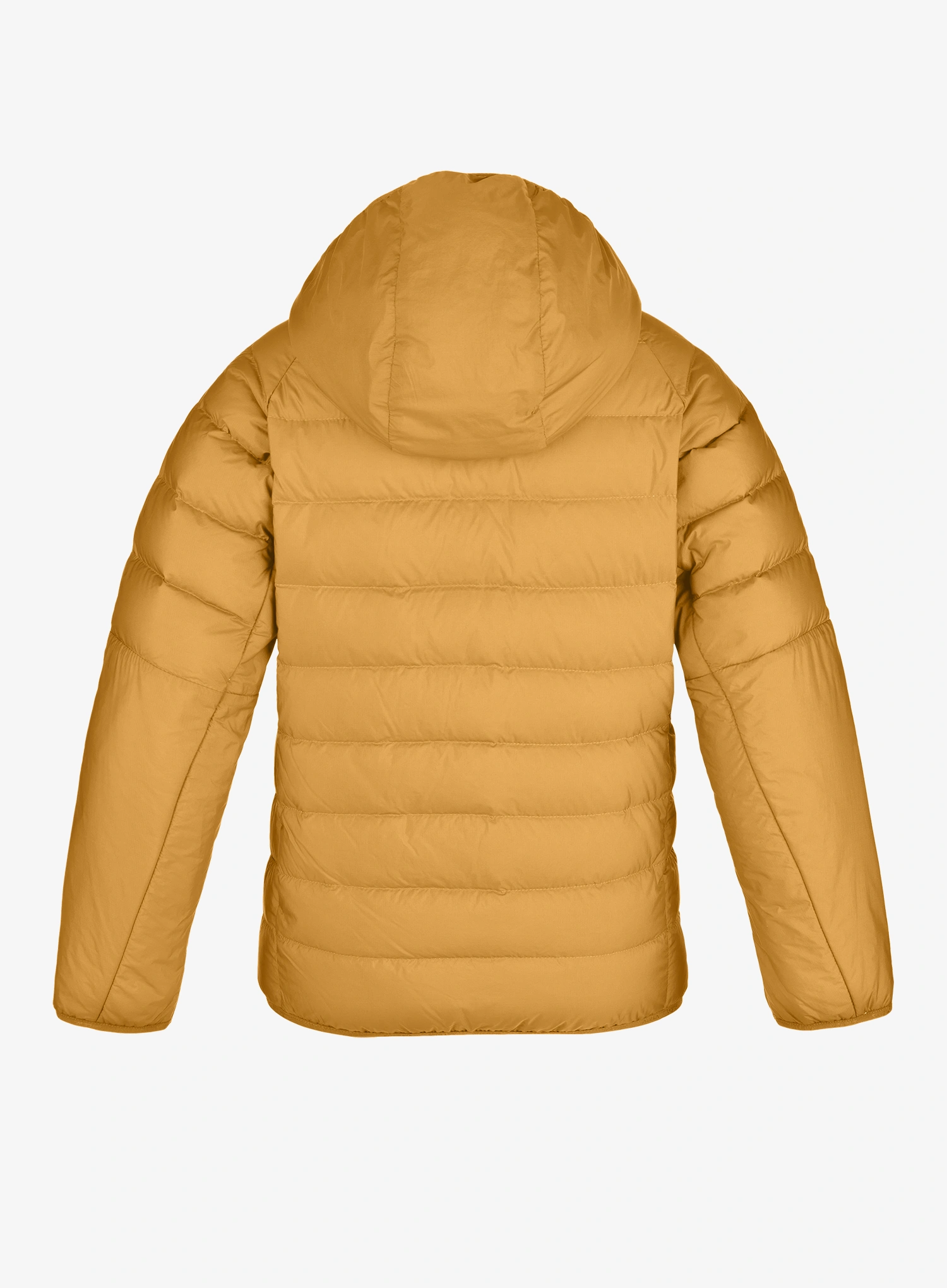 Dječja jakna Salewa Brenta RDS Down Jacket - spruce yellow