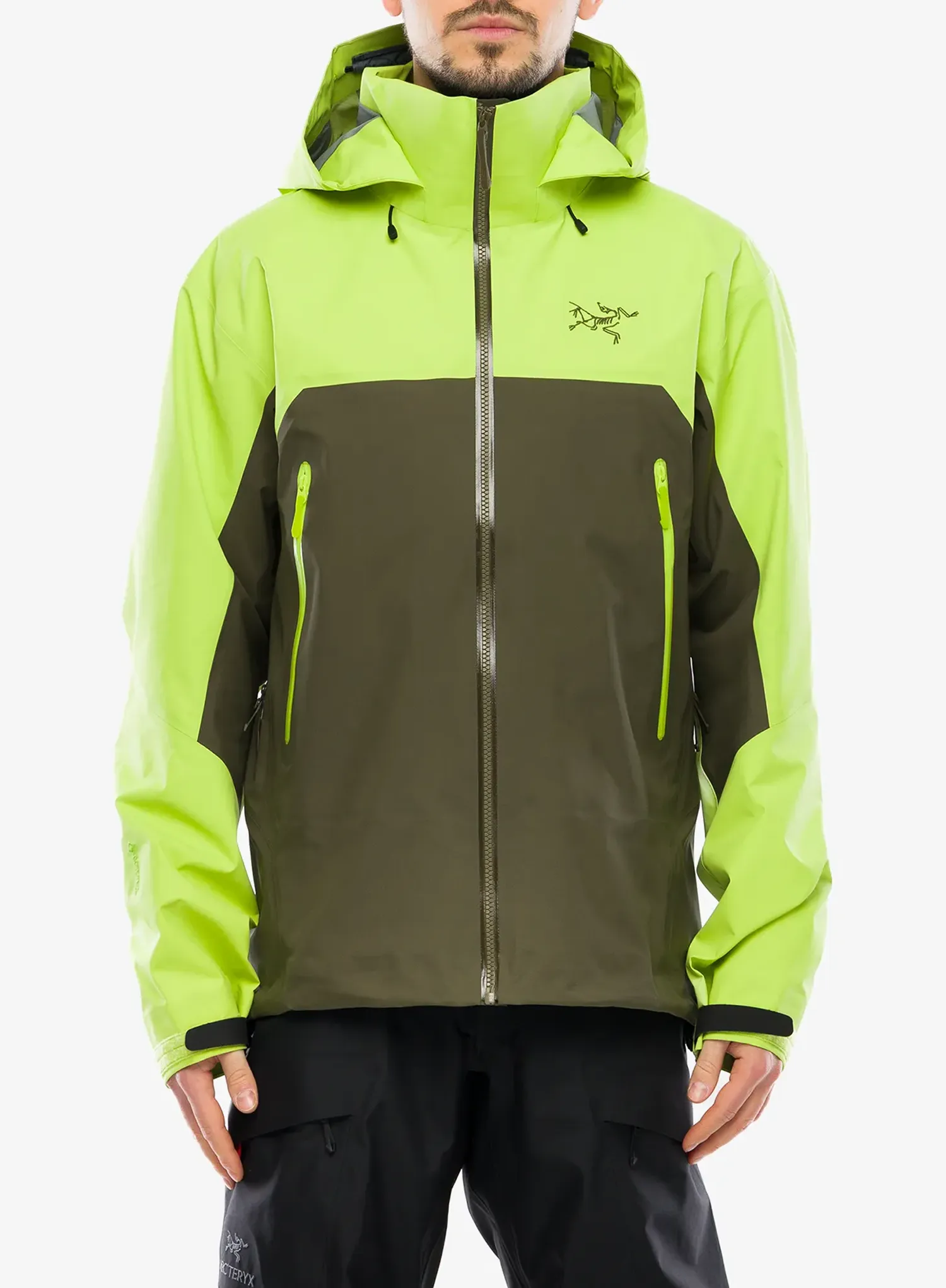 ArcteryxBetaARJacketmantistatsu623555809944a.webp