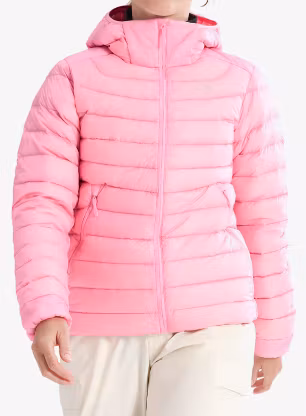qweArcteryxCeriumHoodypineberry623555874294a.webp