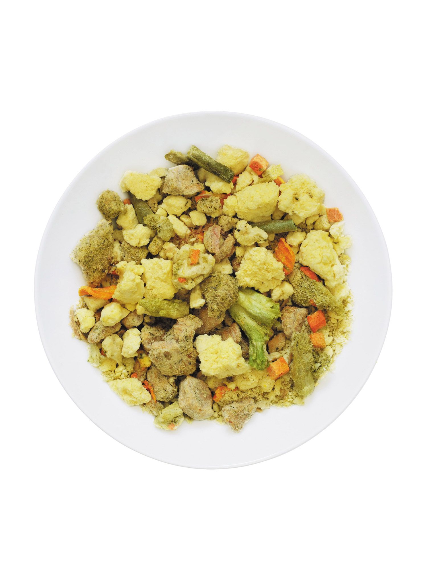 Dehidrirana hrana LYOFOOD Pork loin in dill sauce 500g