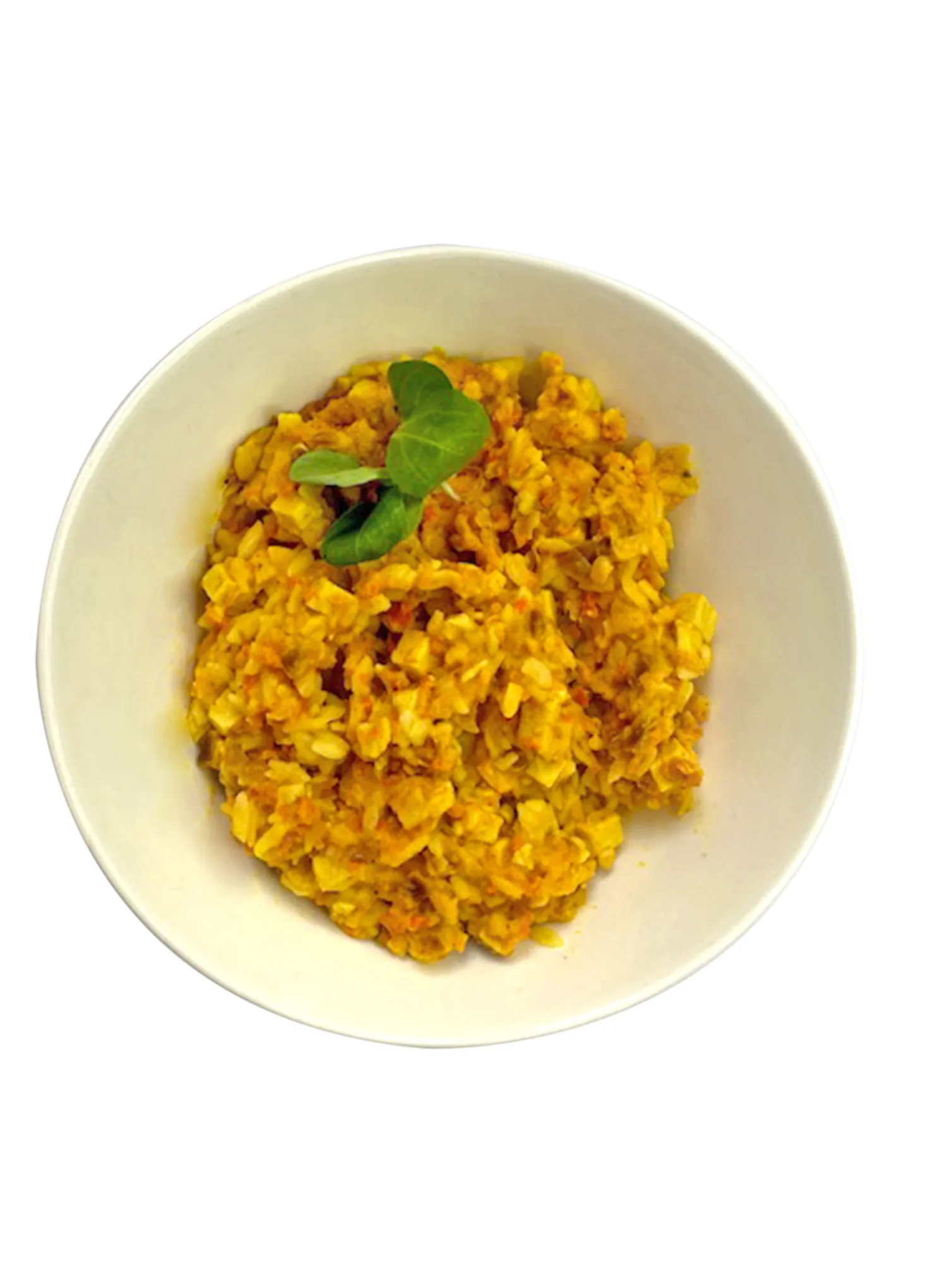 Liofilizat This-1 Piletina u curry sosu s rižom 550 g