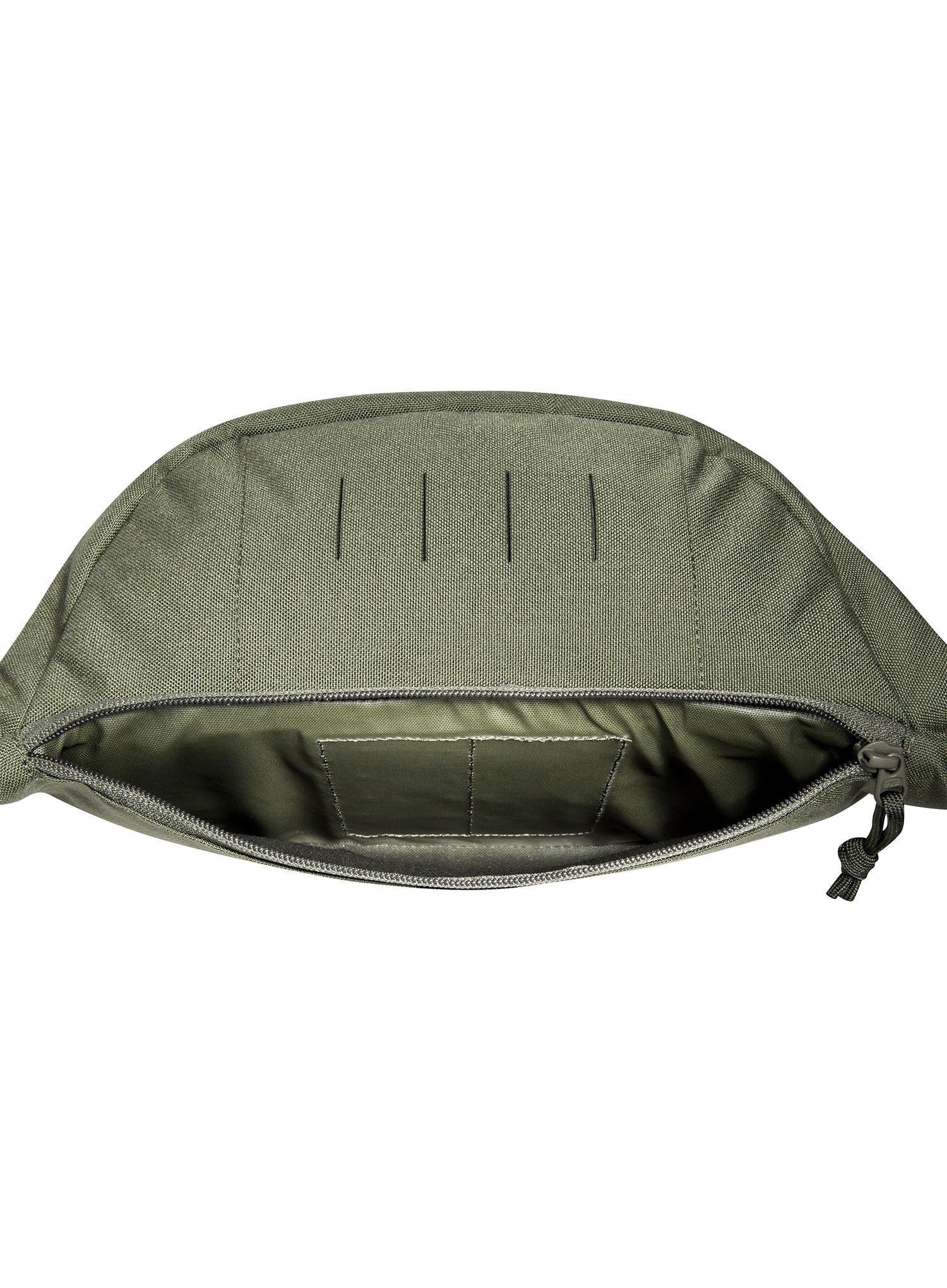 Torbica oko struka Tasmanian Tiger Modular Hip Bag 2 - olive