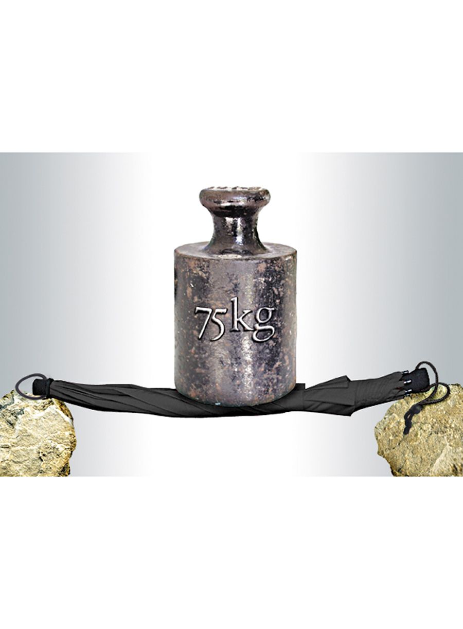 Kišobran Euroschirm Birdiepal Outdoor - black
