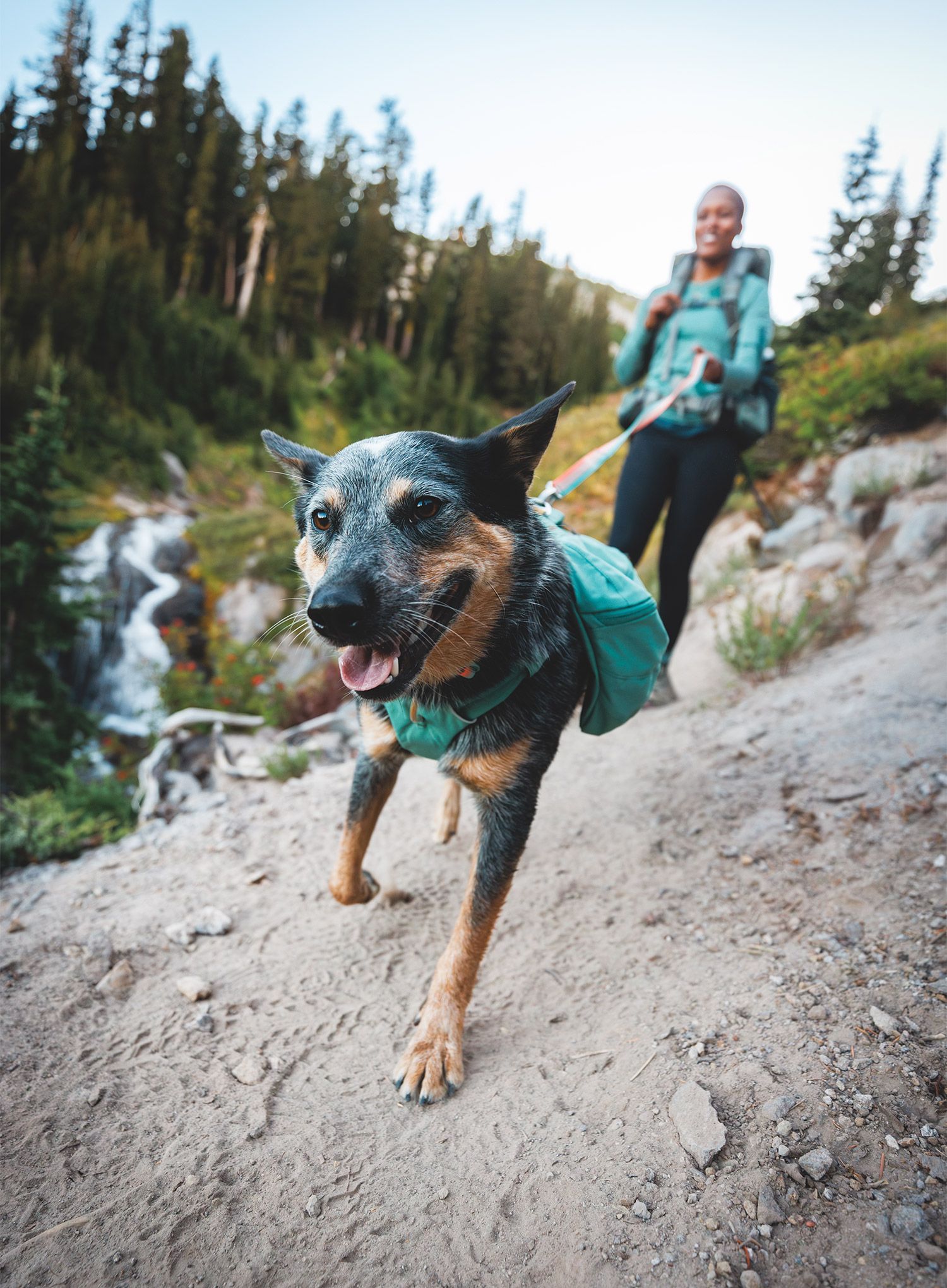 Ruksak za psa Ruffwear Front Range Day Pack - river rock green