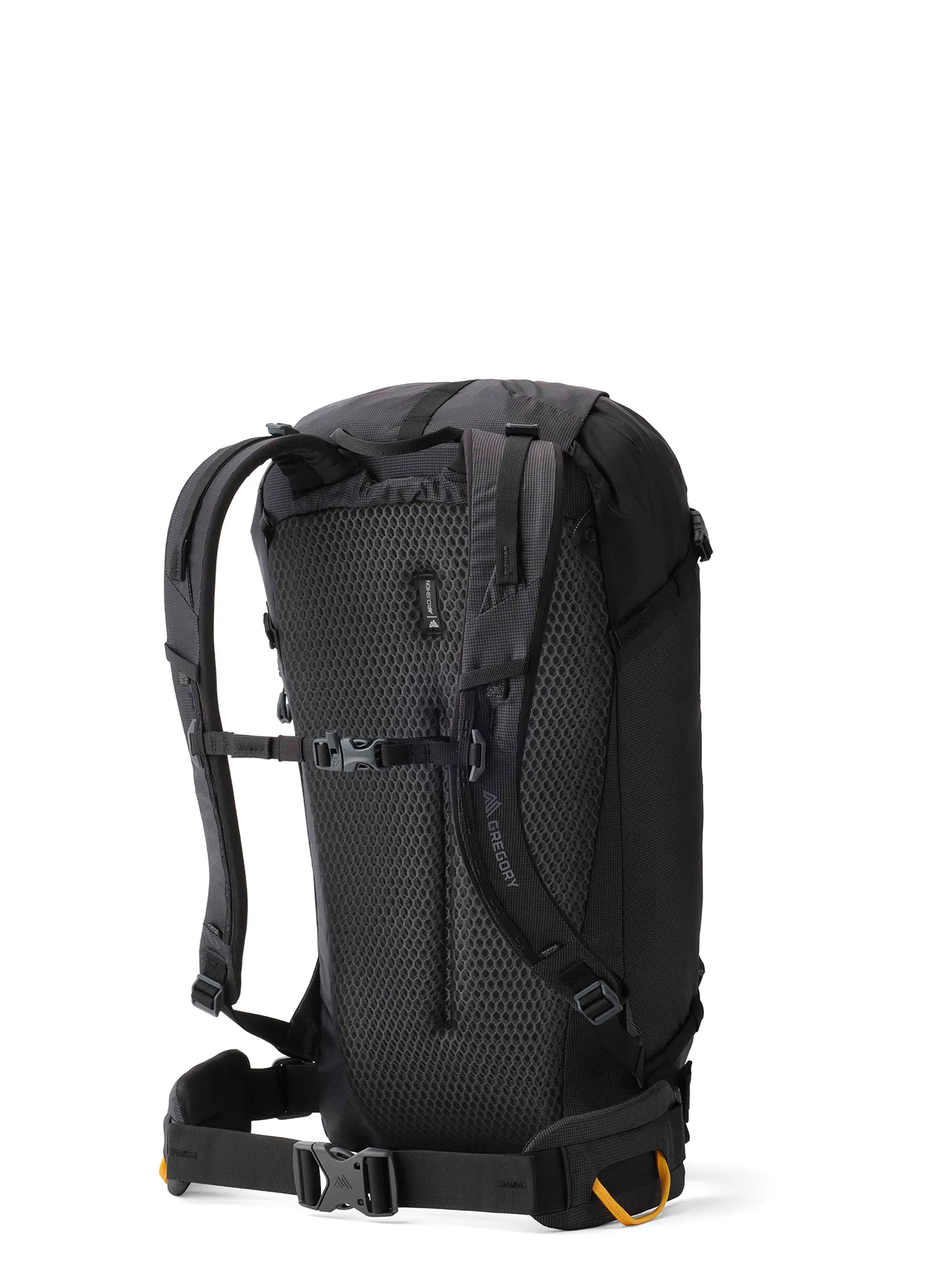 Planinarski ruksak Gregory Alpinisto 30 - summit black