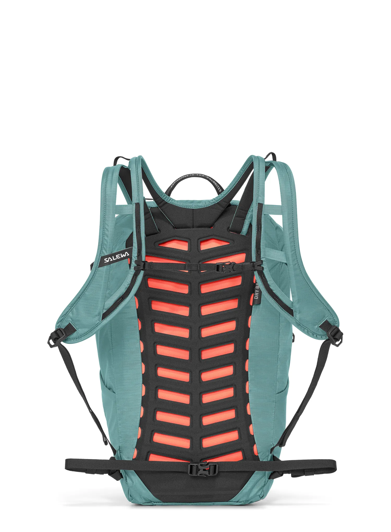 Ruksak MTB Salewa Pedroc Mate 22 - willow