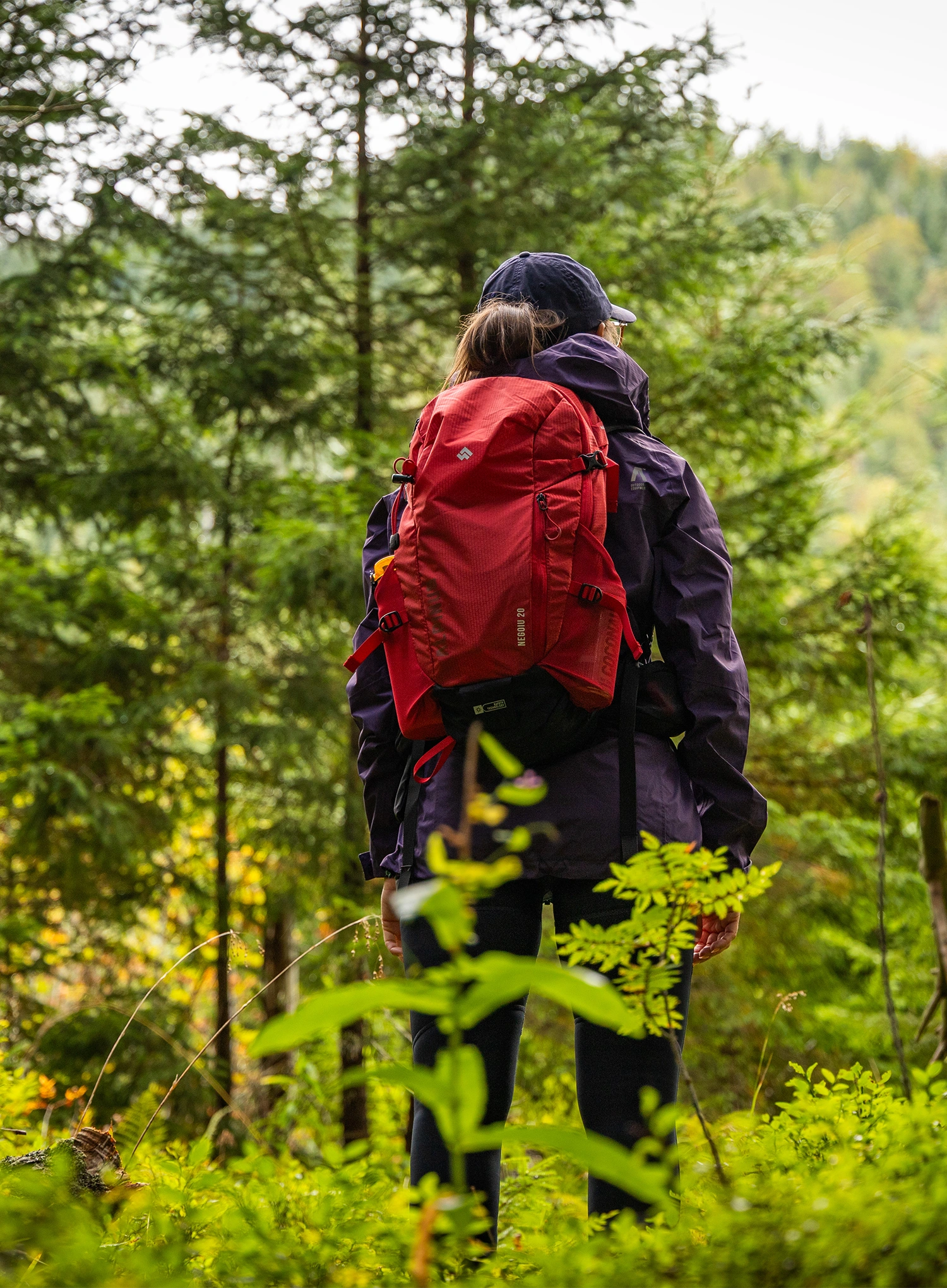 Planinarski ruksak Alpinus Negoiu 20 - red
