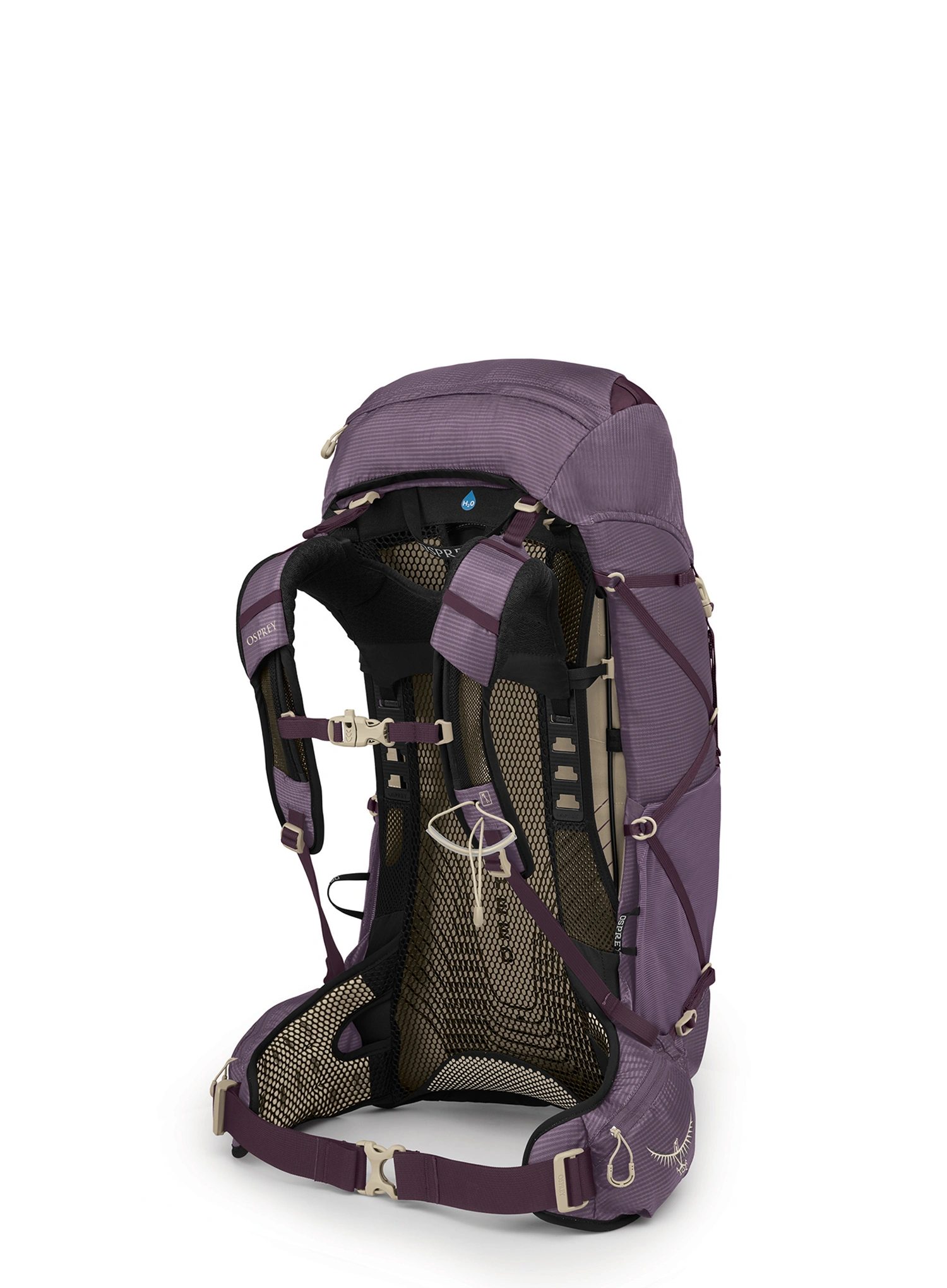 Ženski planinarski ruksak Osprey Eja 38 - purple dusk