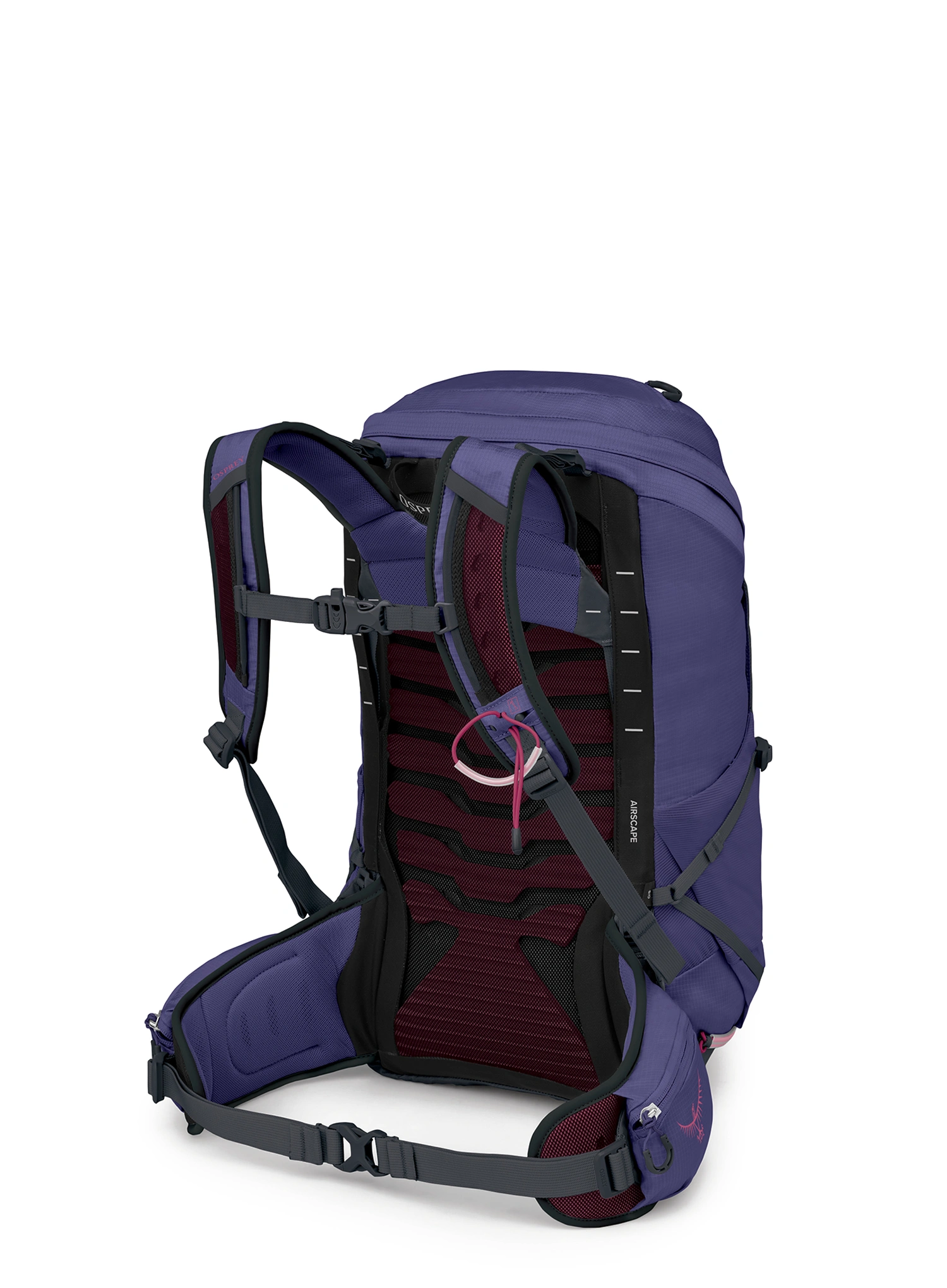 Ženski planinarski ruksak Osprey Tempest 26 - deep fig hotspot pink