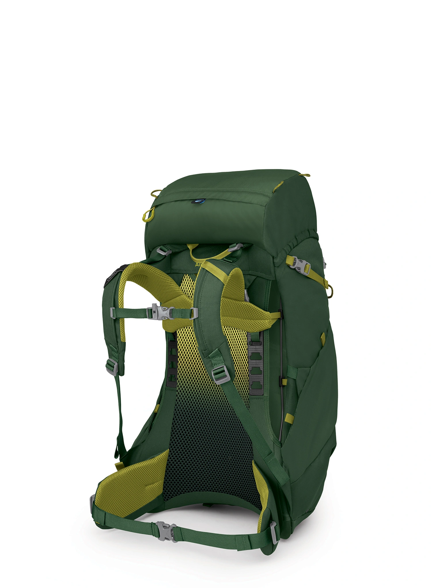Planinarski ruksak za dijete Osprey Ace 38 - green canopy