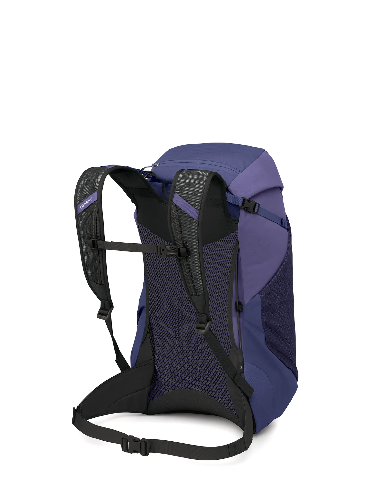 Planinarski ruksak Osprey Hikelite LT 30 - botswana purple