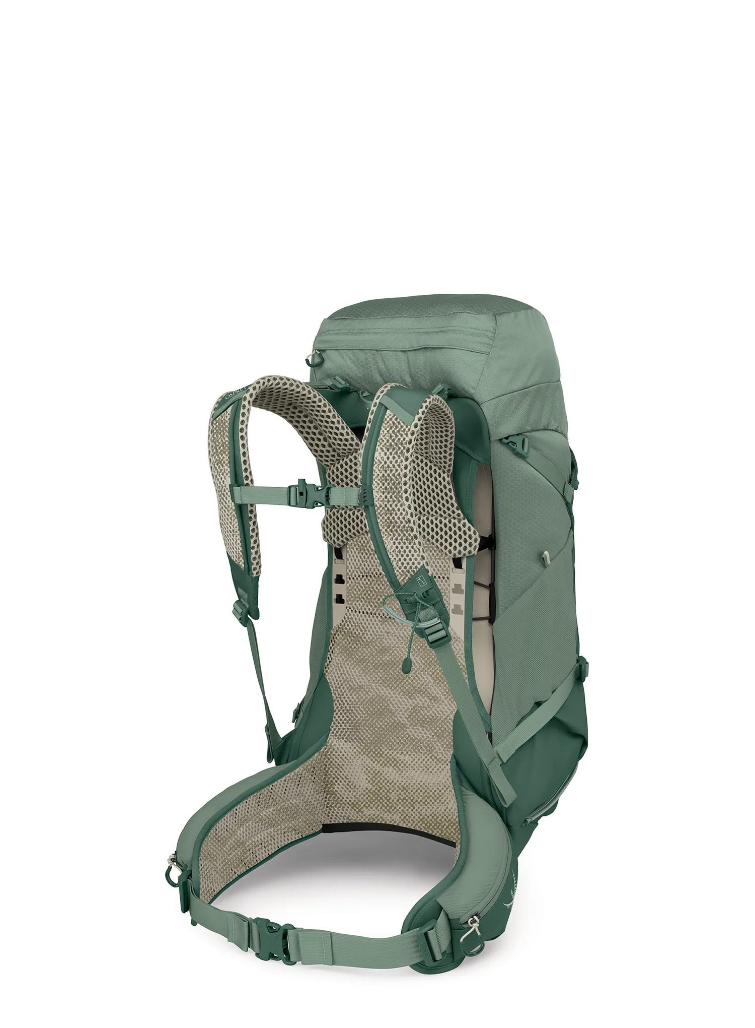 Planinarski ruksak Osprey Stratos 36 - pine leaf green