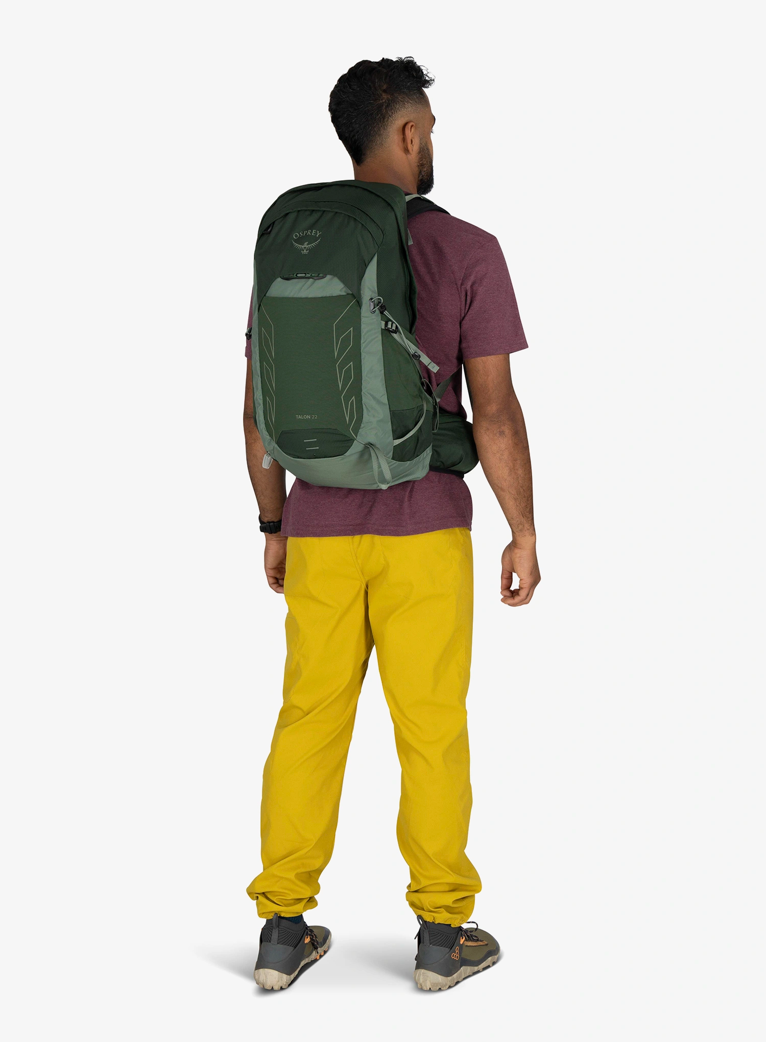 Planinarski ruksak Osprey Talon 22 - green canopy pine leaf