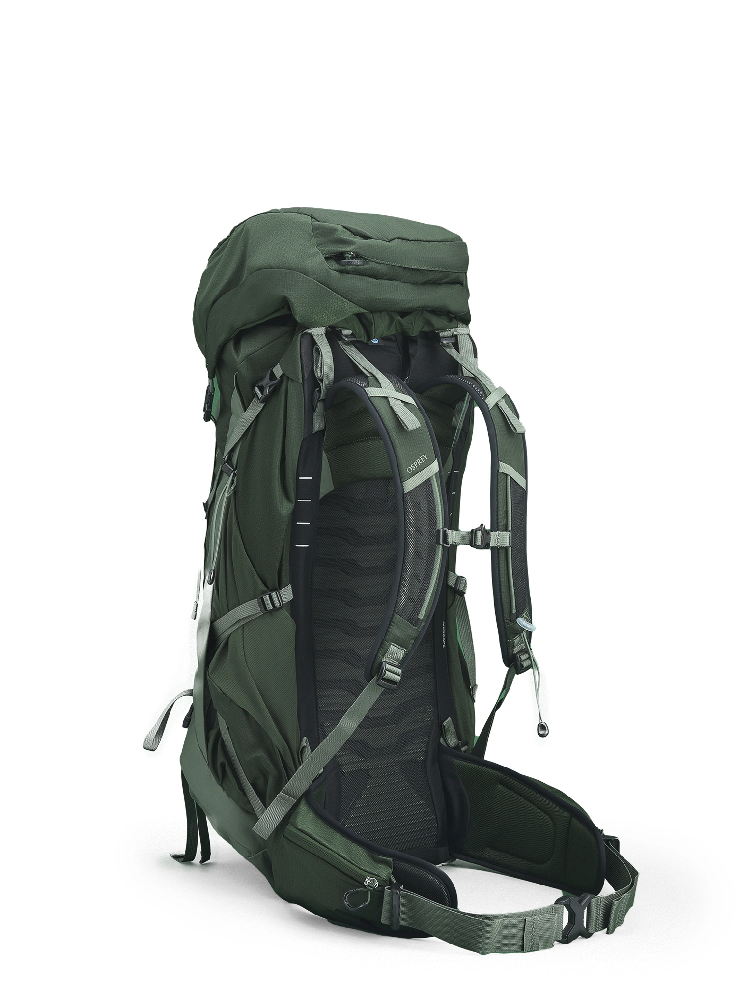 Planinarski ruksak Osprey Talon 44 - green canopy pine leaf