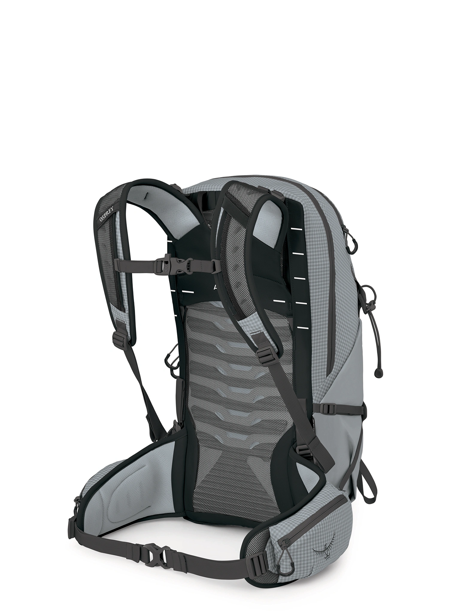 Planinarski ruksak Osprey Talon Pro 20 - silver lining