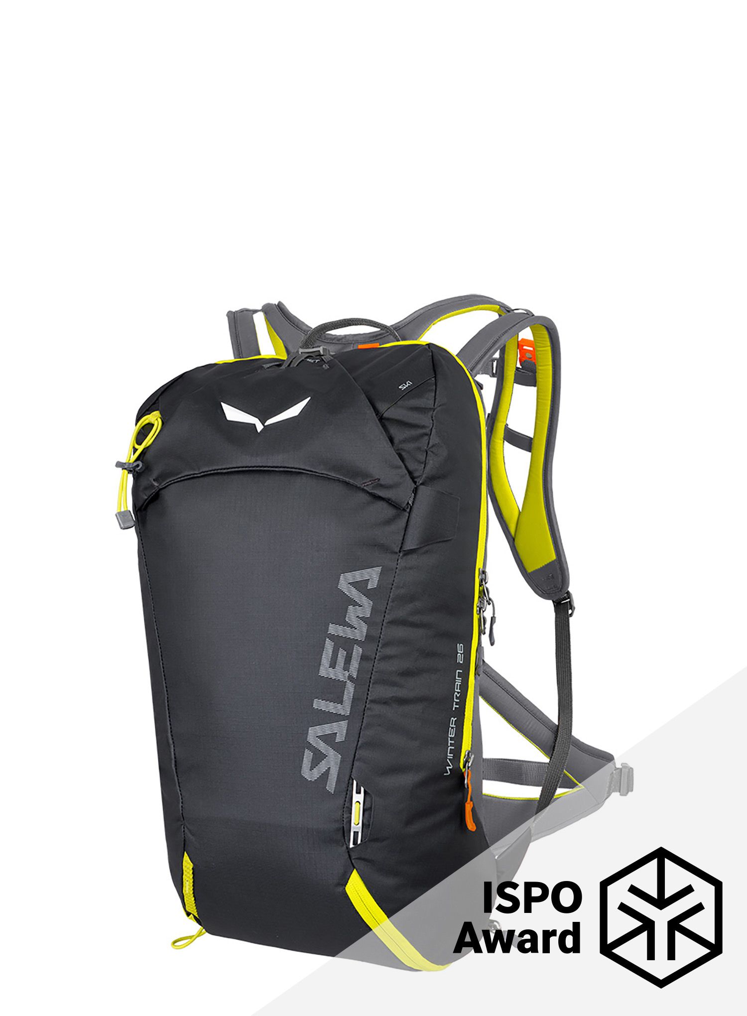 Planinarski ruksak Salewa Winter Train 26 BP - black