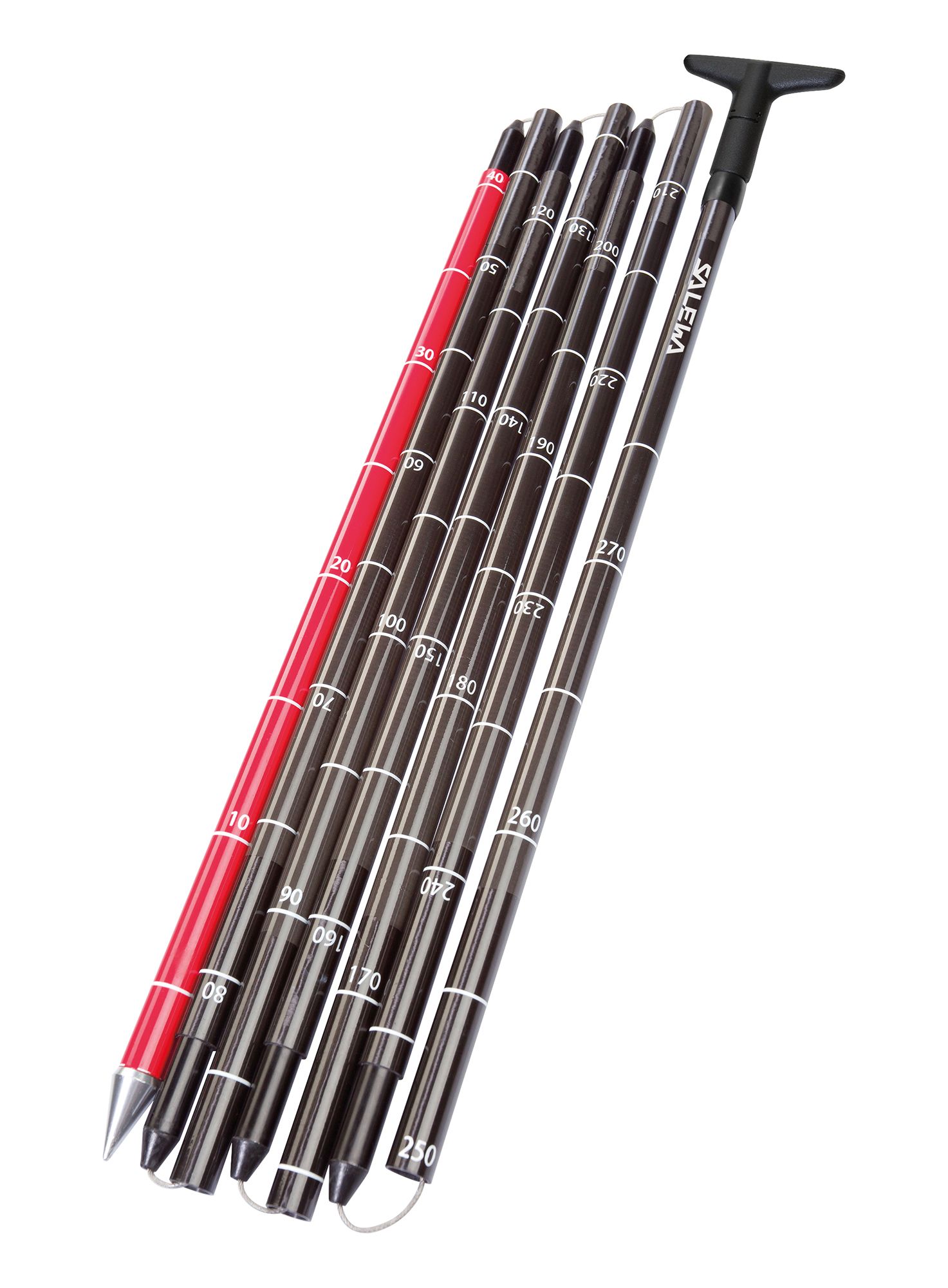 Lavinska sonda Salewa Lightning Carbon 320 Pro - black