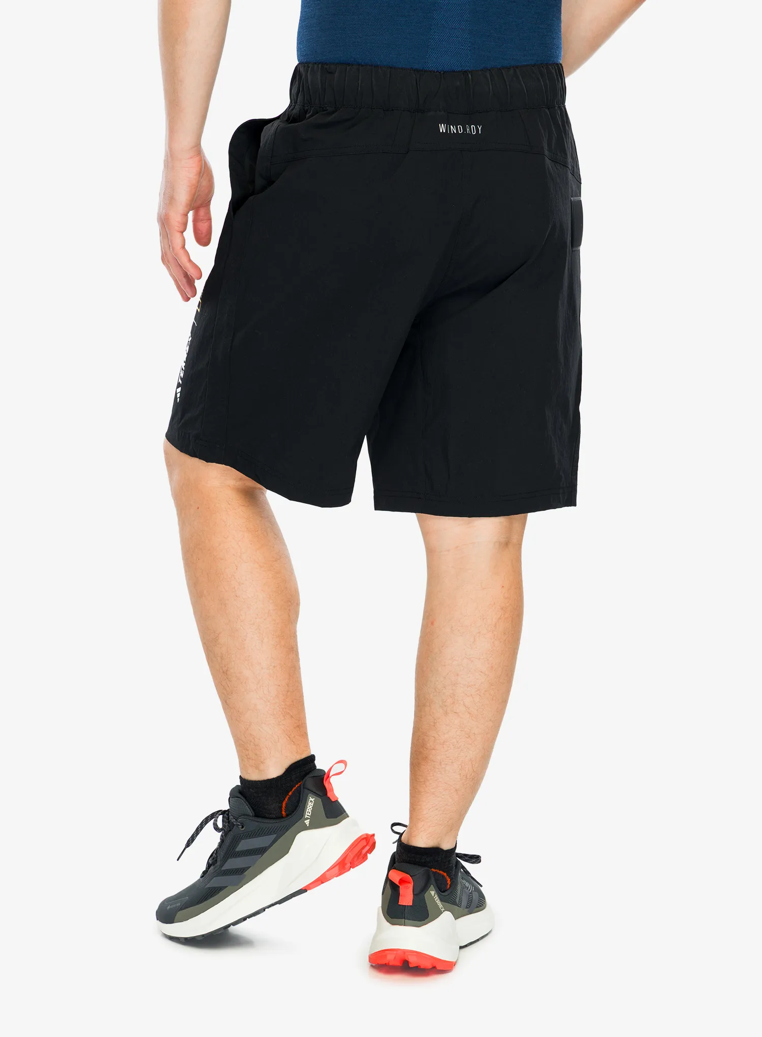Muške kratke hlače adidas TERREX National Geographic WIND.RDY Shorts - black