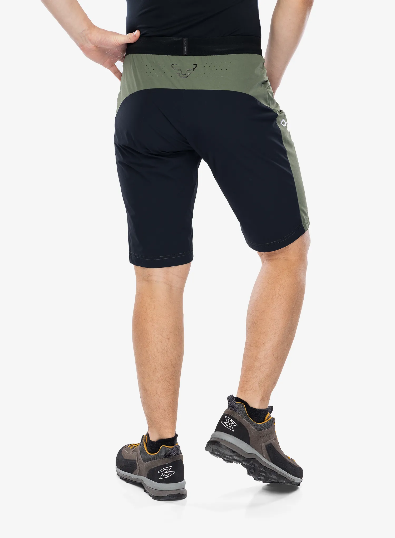 Muške kratke hlače Dynafit Traverse DST Shorts - thyme