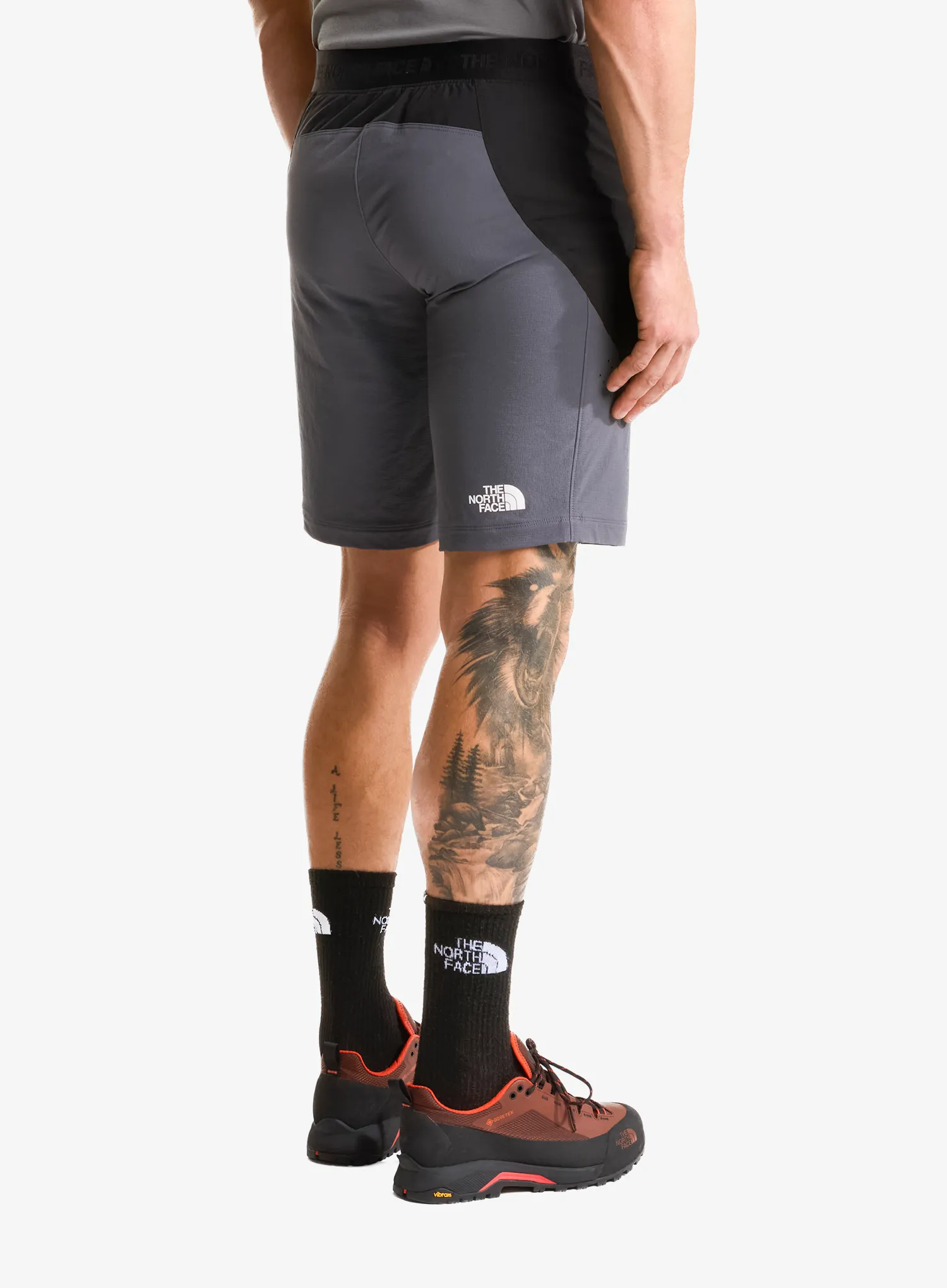 Penjačke kratke hlače The North Face Circadian Alpine Short - black/grey