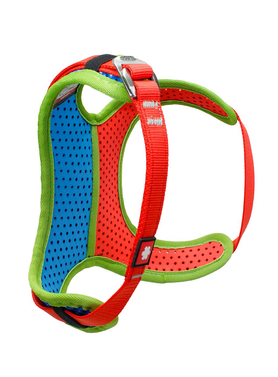 Prsni pojas Ocun WeBee Chest Kid - blue/red