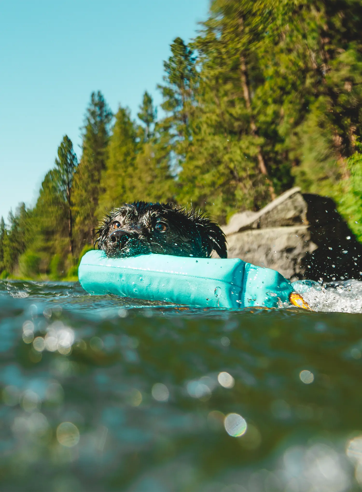 Igračka za psa Ruffwear Lunker Toy - biolumin blue